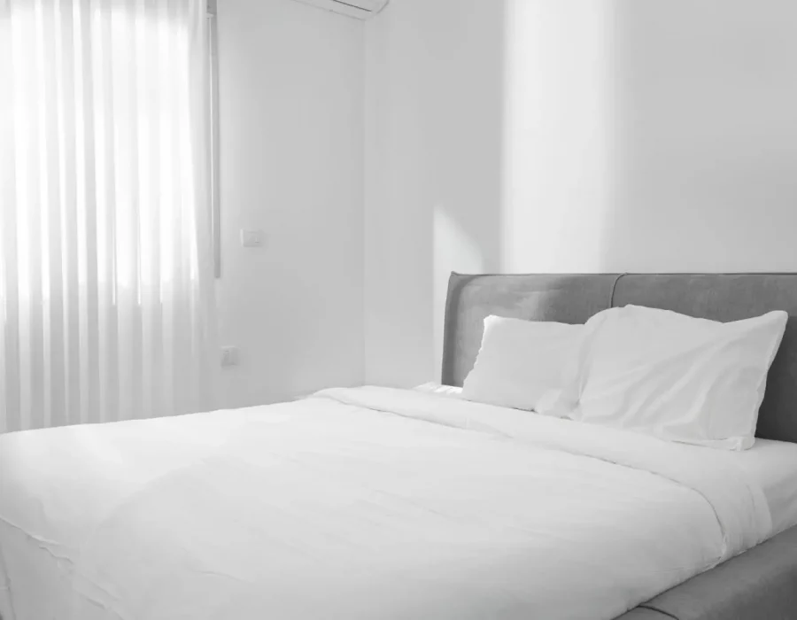 WhatsApp Image 2024-08-27 at 11.39.04